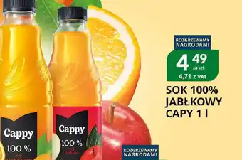 Eurocash Cash & Carry Sok 100% jabłkowy Cappy oferta