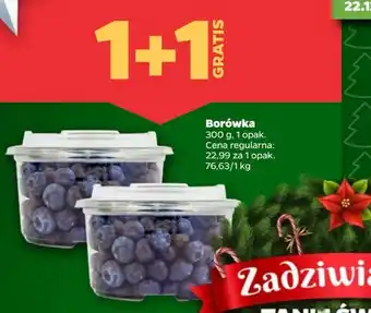 Netto Borówki amerykańskie oferta