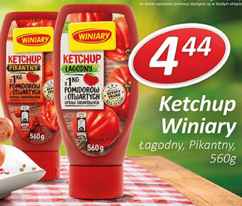 Lewiatan Ketchup Winiary 560g oferta