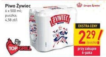 Stokrotka Piwo Żywiec 500ml oferta