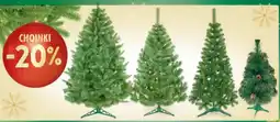 Intermarche Choinka oferta