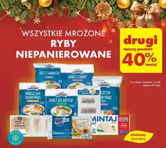 Biedronka Ryby mrożone niepanierowane oferta