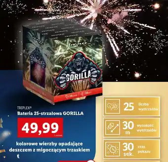 Lidl Zestaw fajerwerków Triplex oferta