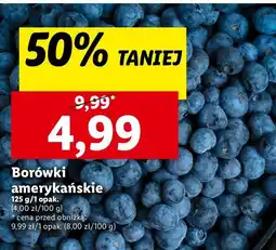Lidl Borówka amerykańska oferta