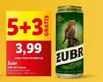 Lidl Piwo Żubr 1768 oferta