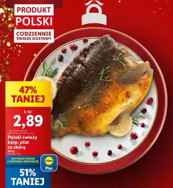 Lidl Karp oferta