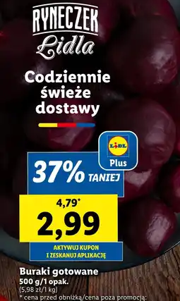 Lidl Buraczki gotowane oferta