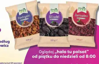 Dino Żurawina Bakaliowy Targ oferta