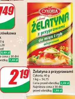 Dino Żelatyna wieprzowa z przyprawami do mięs i ryb Cykoria oferta