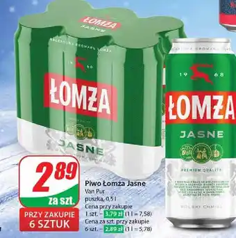 Dino Piwo Łomża Jasne (Dawniej Export) oferta