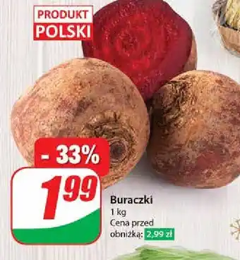 Dino Buraki polska oferta