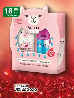 Eurocash Cash & Carry Zestaw Venus xoxo oferta
