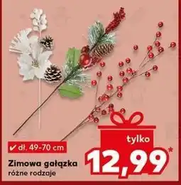 Kaufland Gałązka zimowa oferta