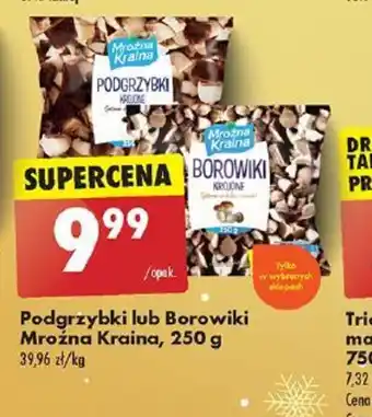 Biedronka Podgrzybki lub Borowiki Mroźna Kraina oferta