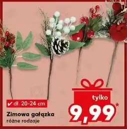 Kaufland Gałązka zimowa oferta