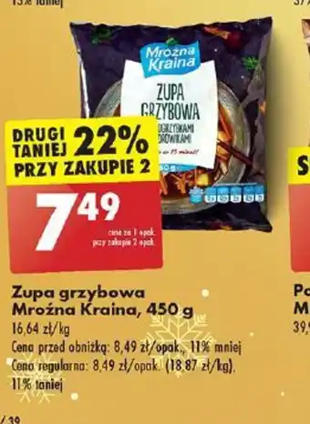 Biedronka Zupa grzybowa Mroźna Kraina oferta