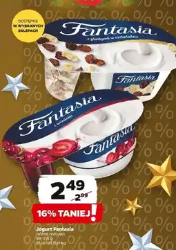 Netto Jogurt z płatkami w czekoladzie Danone Fantasia oferta
