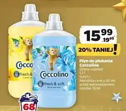 Netto Płyn do płukania happy yellow Coccolino Fresh & Soft oferta