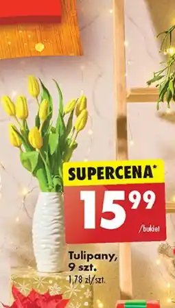 Biedronka Tulipany oferta