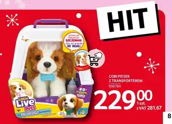 Selgros Piesek Cobi oferta