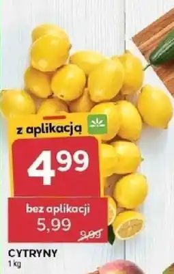 Stokrotka Market Cytryny oferta