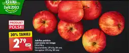 Biedronka Jabłko polskie czerwone oferta