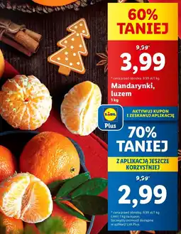 Lidl Mandarynki oferta