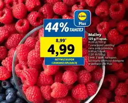 Lidl Maliny oferta