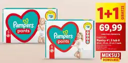 Lidl Pieluchomajtki maxi 4 Pampers Pants oferta