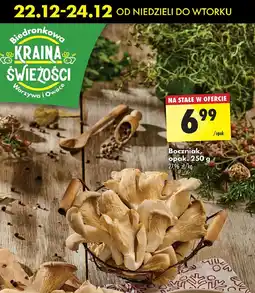 Biedronka Boczniak oferta