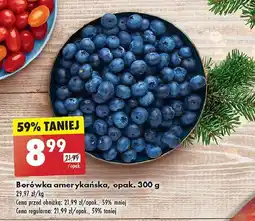 Biedronka Borówki amerykańskie oferta