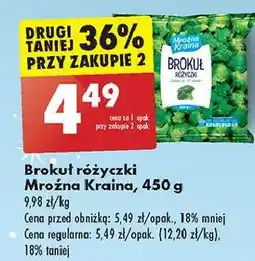 Biedronka Brokuły Mroźna Kraina oferta