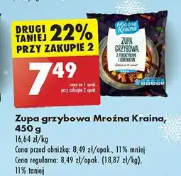 Biedronka Zupa grzybowa z podgrzybkami i borowikami Mroźna Kraina oferta
