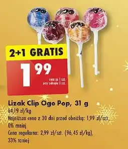 Biedronka Lizak ogo pop oferta