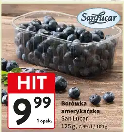 Intermarche Borówki Sanlucar oferta