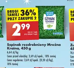 Biedronka Szpinak Mroźna Kraina oferta