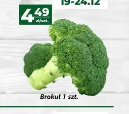 Brokuł