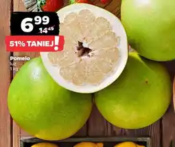 Netto Pomelo oferta
