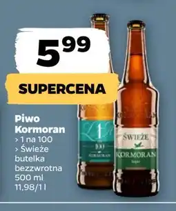 Netto Piwo Kormoran Świeże Niepasteryzowane oferta