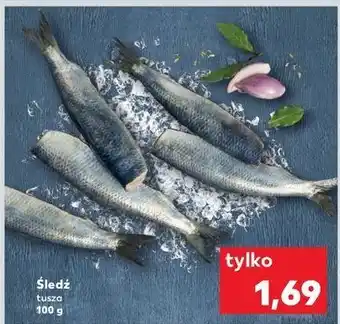 Kaufland Śledz tusza oferta