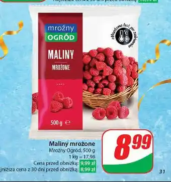 Dino Maliny Mroźny ogród oferta