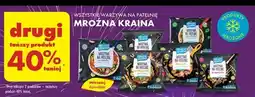 Biedronka Warzywa na patelnie po hiszpańsku Mroźna Kraina oferta