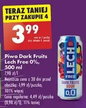 Biedronka Piwo Lech Free Dark Fruits Sour oferta