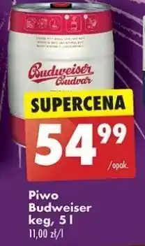Biedronka Piwo b: original Budweiser Budvar oferta