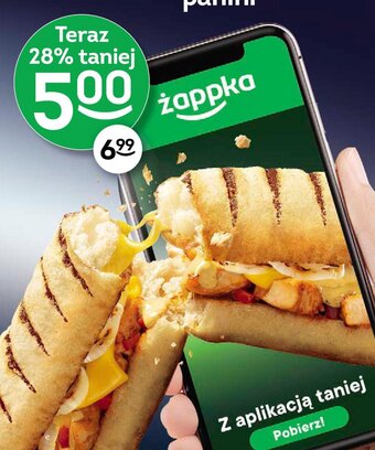 Żabka Panini oferta