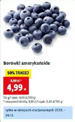 Lidl Borówki amerykańskie oferta