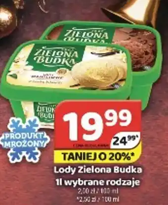 Delfin Lody Zielona Budka oferta