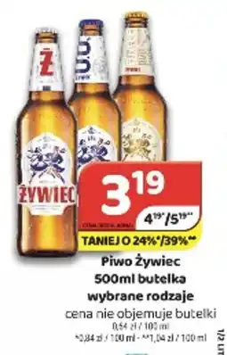 Delfin Piwo Żywiec oferta