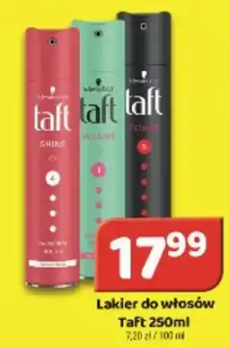 Delfin Lakier do włosów Taft oferta