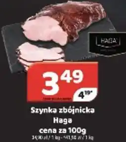 Delfin Szynka zbójnicka Haga oferta